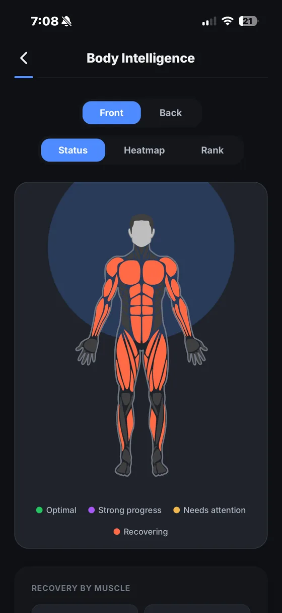 Arclo&rsquo;s muscle map, shading each muscle group by how recovered it is after the week&rsquo;s training.